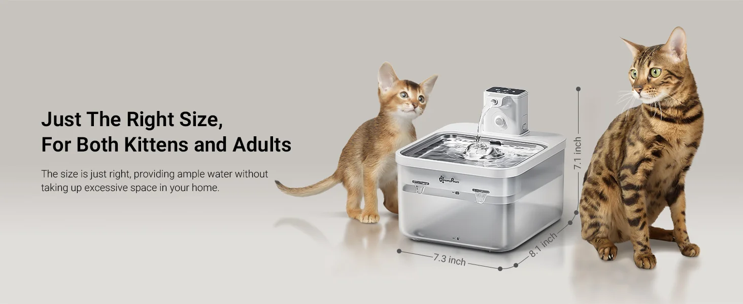 Smart and wireless features of the modern cat water fountain.
