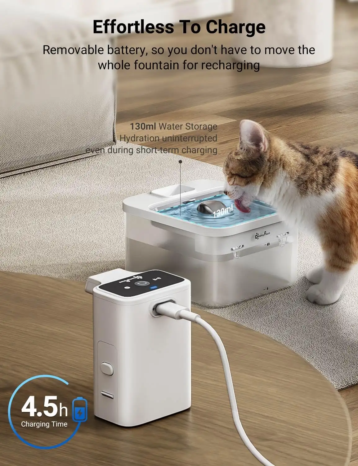 Common questions about cat hydration and fountain use