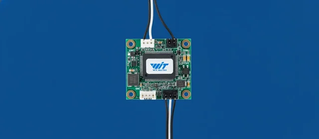 WITMOTION Category 1