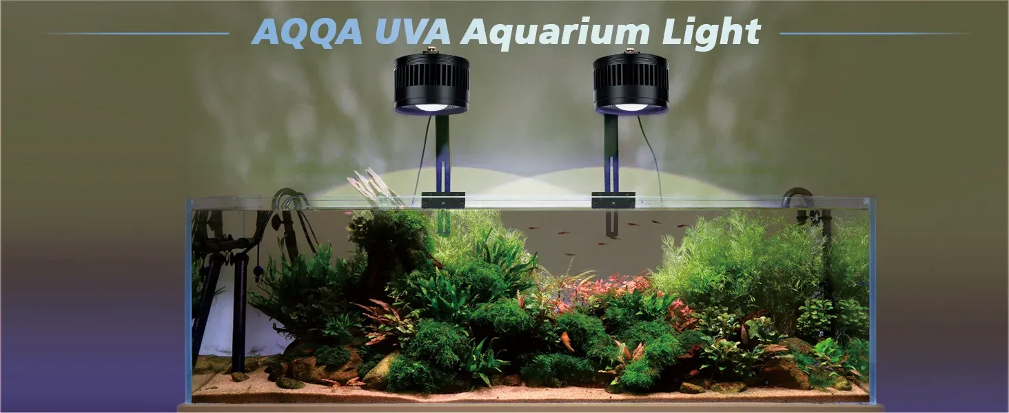 AQQA Aquatics product 3