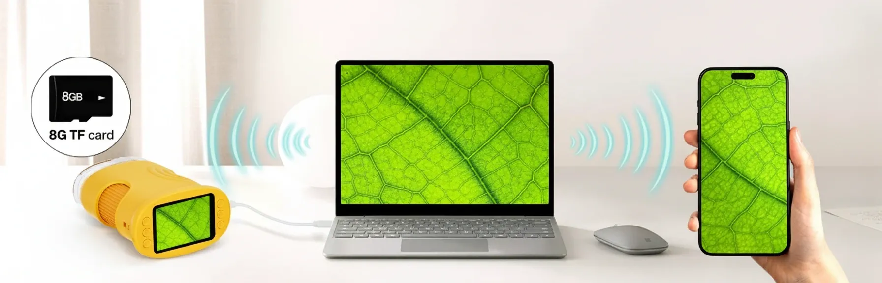 Versatile microscope design ideal for kids, students, and hobbyists