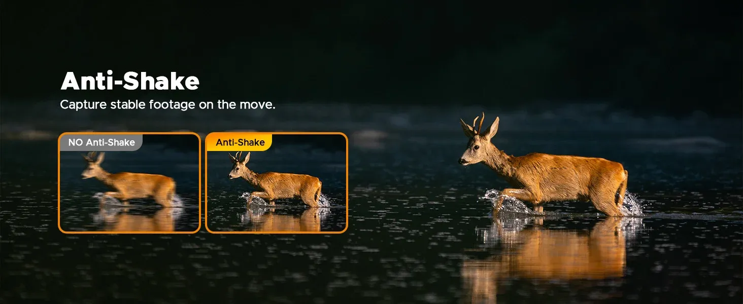 Wildlife observation in the UK using advanced night vision technology