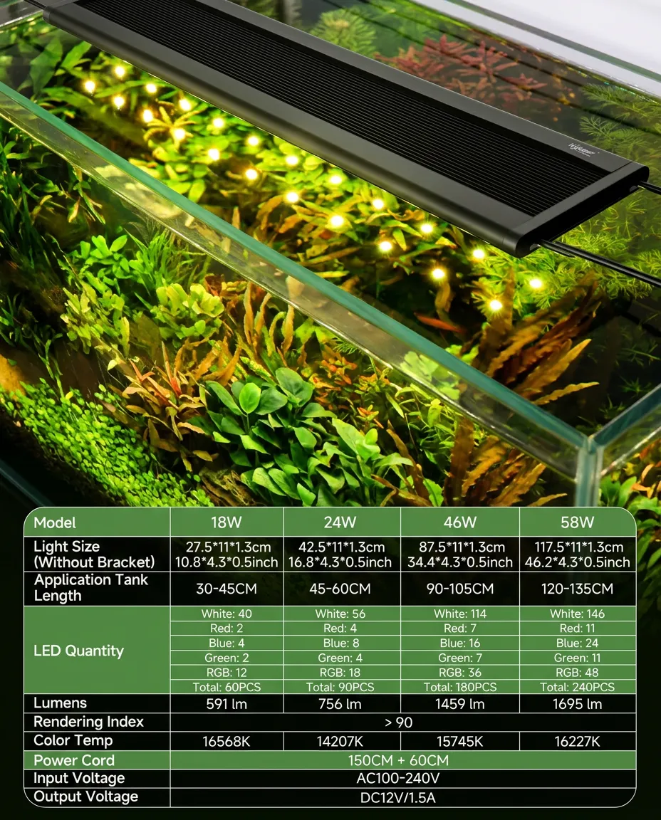 Premium aquarium accessories for UK fish hobbyists