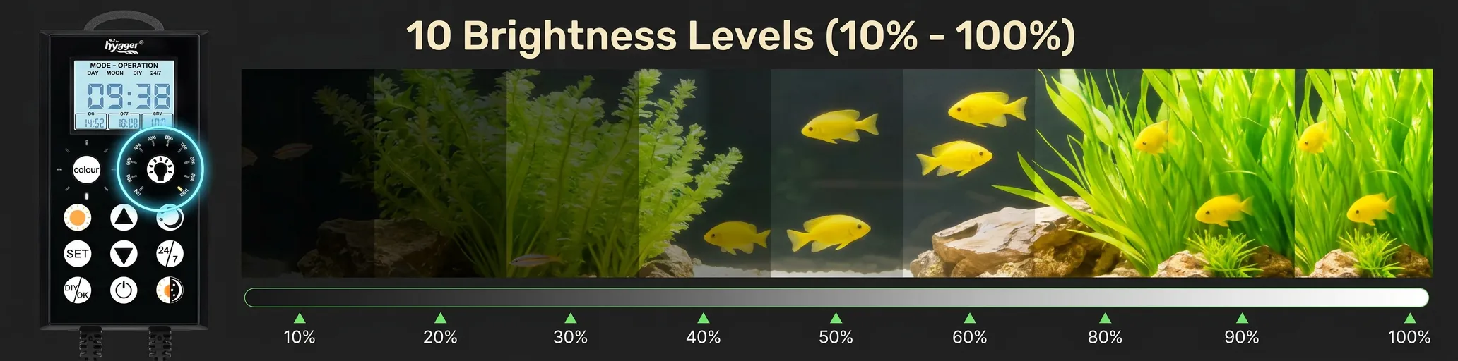 Hygger LED aquarium light securely mounted on a rimless glass fish tank