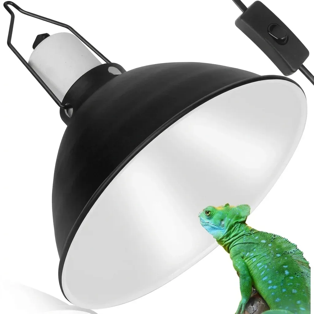 Deep Dome Reflector Explained: A UK Buyer's Guide