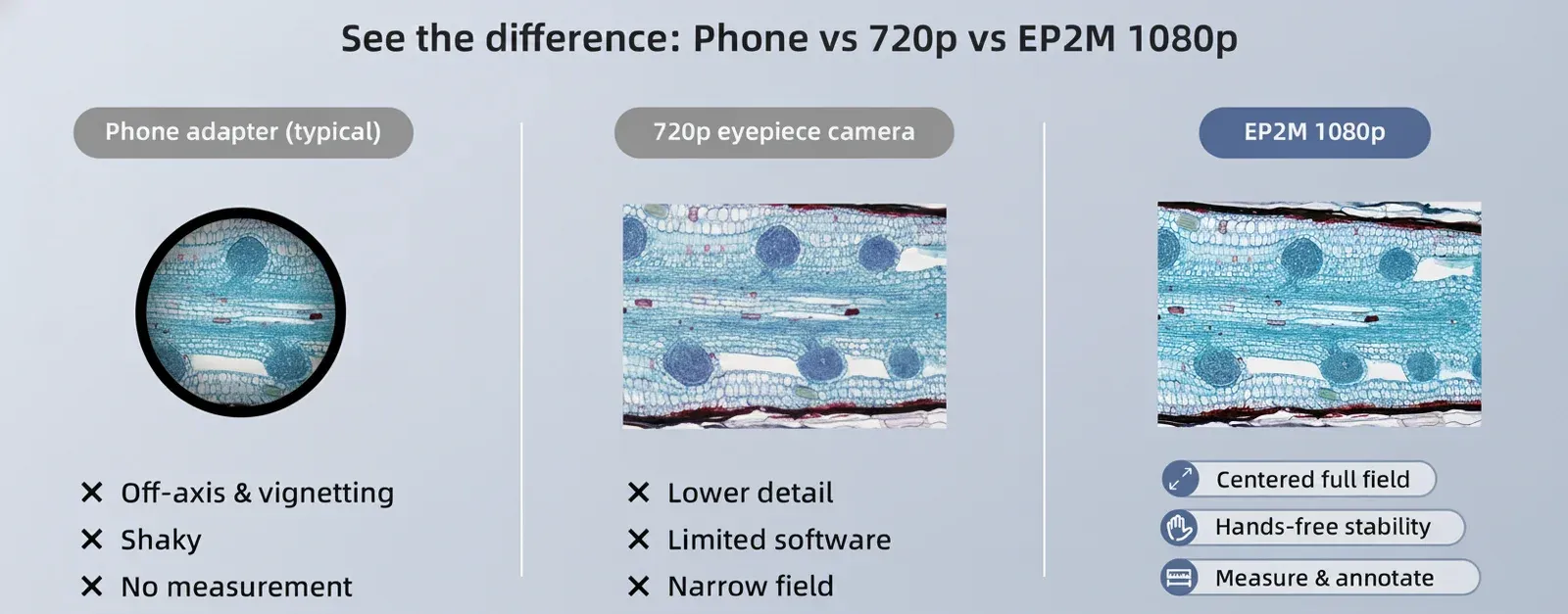 Finding the Best Digital Microscope: A Guide to Professional Imaging in the UK
